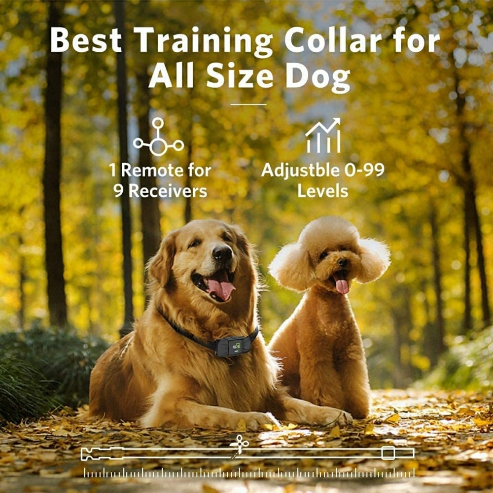 Well-D ADV MODEL TC01 DOG TRAINING SYSTEM - Picture 3 of 15